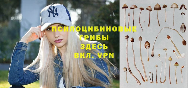 мдма Медвежьегорск