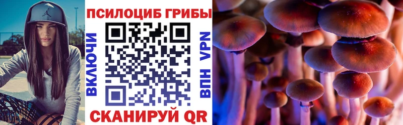 что такое   даркнет наркотические препараты  Галлюциногенные грибы Psilocybine cubensis  Сасово  hydra tor 